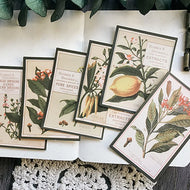 12Pcs Plant Drawing Vintage Stickers Junk Journal Ephemera Flower Leaf DIY Craft Album Aesthetic Sticker Scrapbooking Material