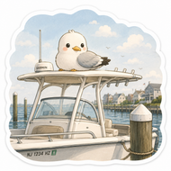 Seagull on Boat