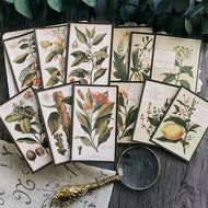 12Pcs Plant Drawing Vintage Stickers Junk Journal Ephemera Flower Leaf DIY Craft Album Aesthetic Sticker Scrapbooking Material