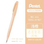 1PC Pentel Brush