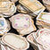 45pcs Vintage Flower Plant Label Stickers Junk Journal Ephemera Floral Stickers Aesthetic DIY Album Scrapbooking Supplies Pack