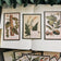12Pcs Plant Drawing Vintage Stickers Junk Journal Ephemera Flower Leaf DIY Craft Album Aesthetic Sticker Scrapbooking Material