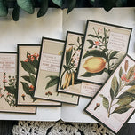12Pcs Plant Drawing Vintage Stickers Junk Journal Ephemera Flower Leaf DIY Craft Album Aesthetic Sticker Scrapbooking Material