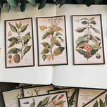 12Pcs Plant Drawing Vintage Stickers Junk Journal Ephemera Flower Leaf DIY Craft Album Aesthetic Sticker Scrapbooking Material