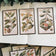 12Pcs Plant Drawing Vintage Stickers Junk Journal Ephemera Flower Leaf DIY Craft Album Aesthetic Sticker Scrapbooking Material