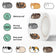 Cute Kitty Sticker Roll (500 Sheets) Decals for Planner Decoration, Envelope Sealing & Aesthetic Notebook Crafts