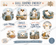 Gull Friend Energy — Complete Jersey Shore Sticker Collection